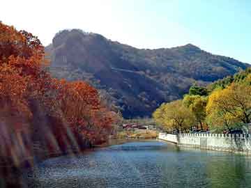 新澳天天开好彩大全，上海排水板